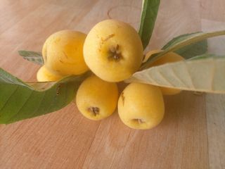 얼큰이님의 자유주제 · 자유게시판 작성글 사진