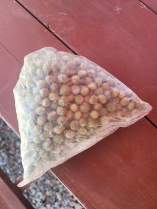 음악사랑님의 자유주제 · 자유게시판 작성글 사진