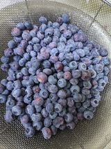 팜모닝 자유주제·자유게시판 게시글 이미지