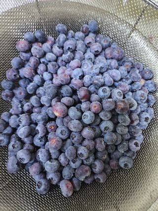 권지연.옥천.님의 자유주제 · 자유게시판 작성글 사진