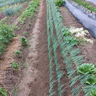 이승욱님의 자유주제 · 사진전 작성글 사진