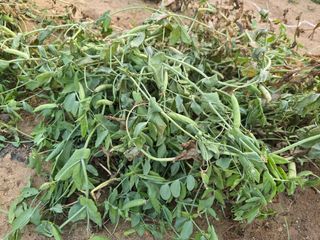 김세리님의 자유주제 · 자유게시판 작성글 사진