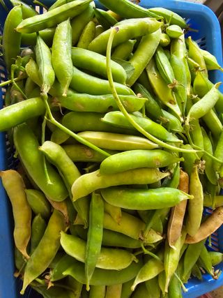 김세리님의 자유주제 · 자유게시판 작성글 사진