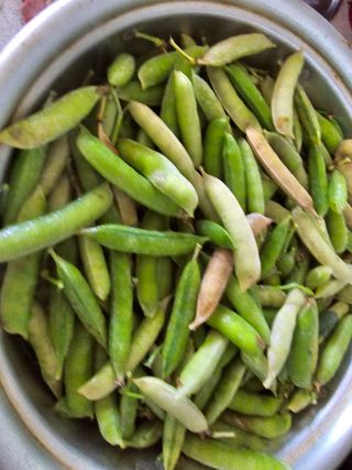 김세리님의 자유주제 · 자유게시판 작성글 사진