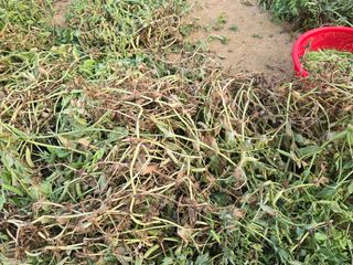 김세리님의 자유주제 · 자유게시판 작성글 사진