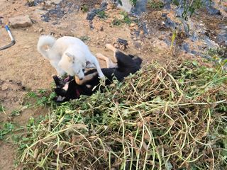 김세리님의 자유주제 · 자유게시판 작성글 사진