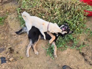 김세리님의 자유주제 · 자유게시판 작성글 사진