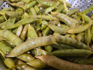 김세리님의 자유주제 · 자유게시판 작성글 사진