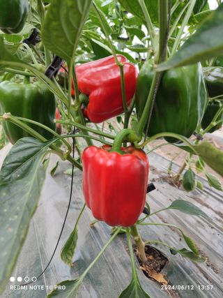 김영인님의 자유주제 · 자유게시판 작성글 사진