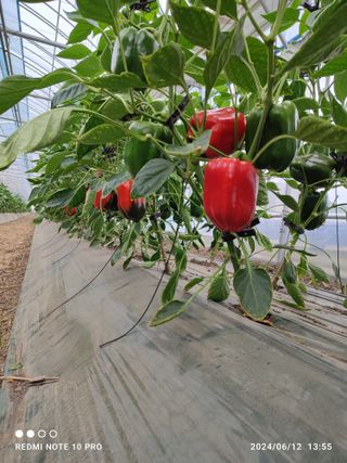 김영인님의 자유주제 · 자유게시판 작성글 사진