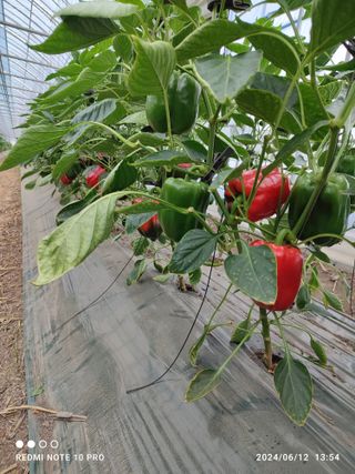 김영인님의 자유주제 · 자유게시판 작성글 사진