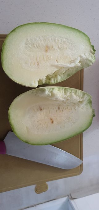 무늬만농업인님의 호박 · 영농일지 작성글 사진