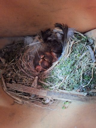 희원님의 🎤어떤 노래 좋아하세요? · 참여글 작성글 사진