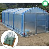 팜모닝 · 게시글 이미지