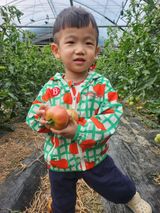 팜모닝 🎤어떤 노래 좋아하세요?·참여글 게시글 이미지