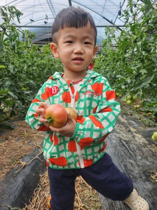 김철용님의 🎤어떤 노래 좋아하세요? · 참여글 작성글 사진