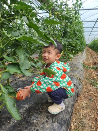 김철용님의 🎤어떤 노래 좋아하세요? · 참여글 작성글 사진