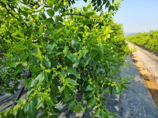 대추 9544님의 자유주제 · 자유게시판 작성글 사진