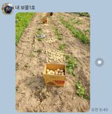 팜모닝 자유주제·자유게시판 게시글 이미지