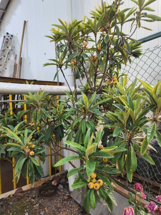 다야님의 자유주제 · 자유게시판 작성글 사진