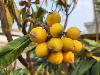 다야님의 자유주제 · 자유게시판 작성글 사진