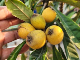 다야님의 자유주제 · 자유게시판 작성글 사진