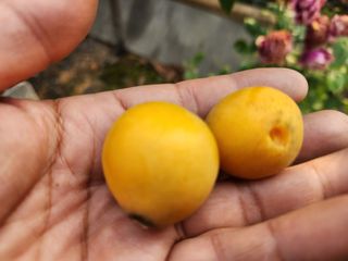 다야님의 자유주제 · 자유게시판 작성글 사진