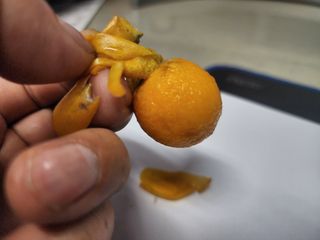 다야님의 자유주제 · 자유게시판 작성글 사진