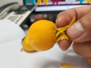 다야님의 자유주제 · 자유게시판 작성글 사진