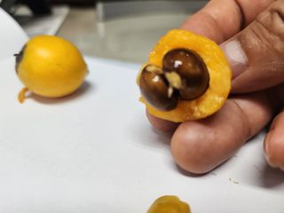 다야님의 자유주제 · 자유게시판 작성글 사진