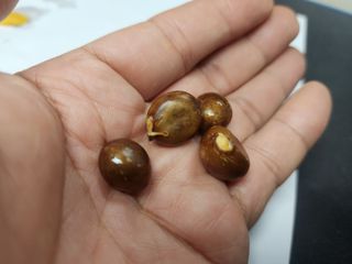 다야님의 자유주제 · 자유게시판 작성글 사진