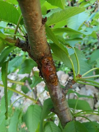 하나라도 소중하게님의 농사, 무엇이든 물어보세요! · 참여글 작성글 사진