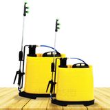 팜모닝 · 게시글 이미지