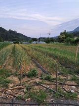 팜모닝 · 게시글 이미지