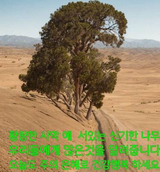 조택준님의 🎤어떤 노래 좋아하세요? · 참여글 작성글 사진