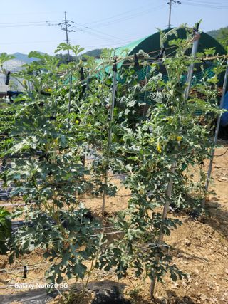 정창훈님의 자유주제 · 자유게시판 작성글 사진