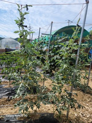 정창훈님의 자유주제 · 자유게시판 작성글 사진