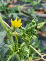 팜모닝 자유주제·자유게시판 게시글 이미지