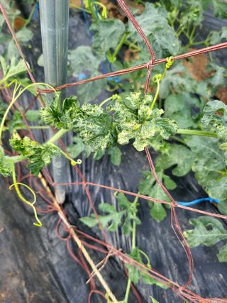 논산상월안정환님의 자유주제 · 자유게시판 작성글 사진