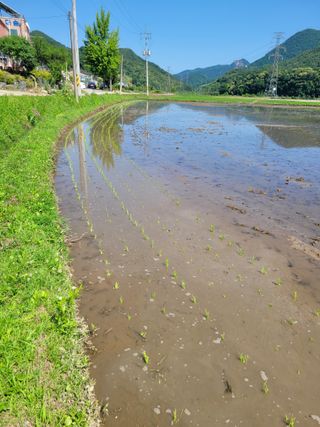 홍가네수정농장님의 자유주제 · 자유게시판 작성글 사진