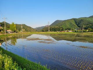 홍가네수정농장님의 자유주제 · 자유게시판 작성글 사진