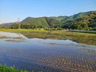 홍가네수정농장님의 자유주제 · 자유게시판 작성글 사진