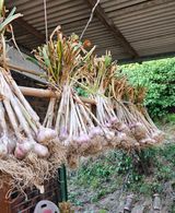 팜모닝 자유주제·자유게시판 게시글 이미지