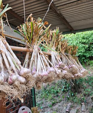 토마토16716님의 자유주제 · 자유게시판 작성글 사진