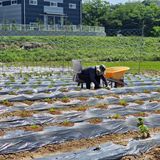 팜모닝 🎤어떤 노래 좋아하세요?·참여글 게시글 이미지