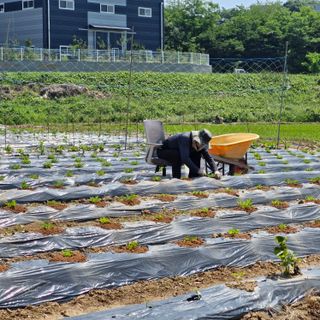 조인숙님의 🎤어떤 노래 좋아하세요? · 참여글 작성글 사진