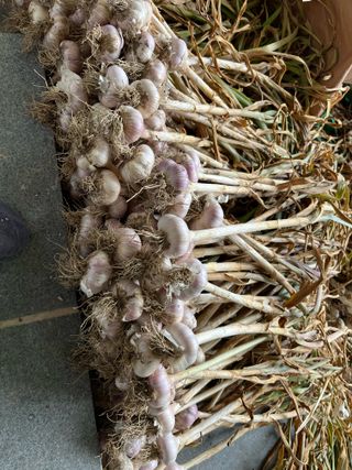 최성진님의 작성글 사진