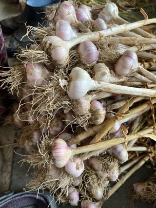 최성진님의 작성글 사진