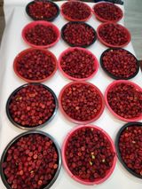 팜모닝 딸기·영농일지 게시글 이미지