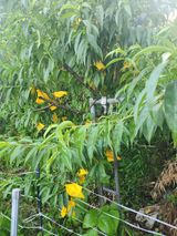 팜모닝 자유주제·자유게시판 게시글 이미지